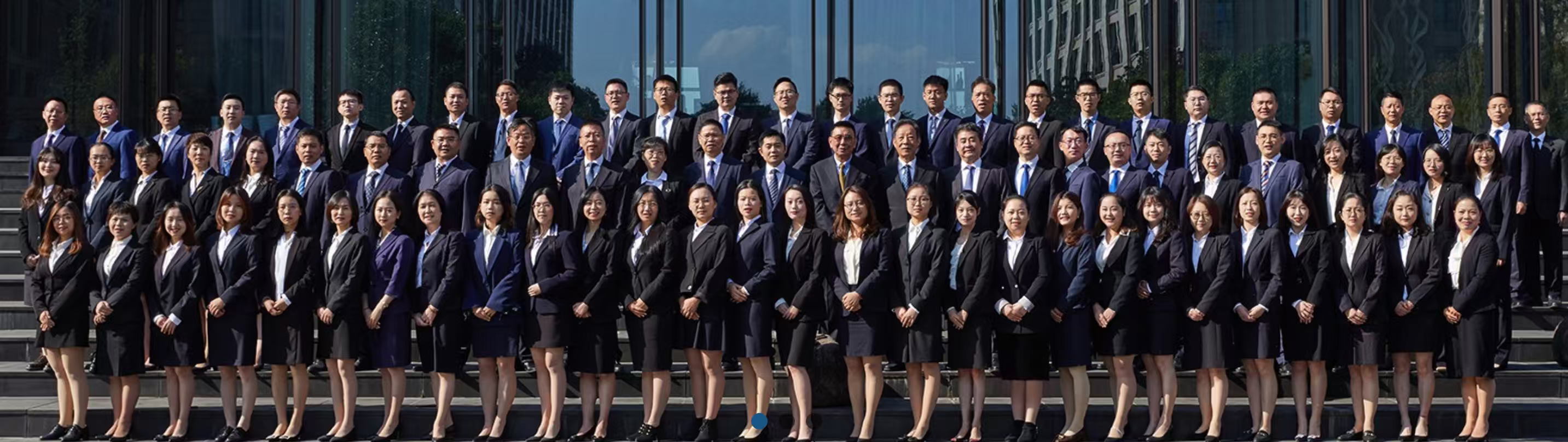 IP Litigation & Enforcement